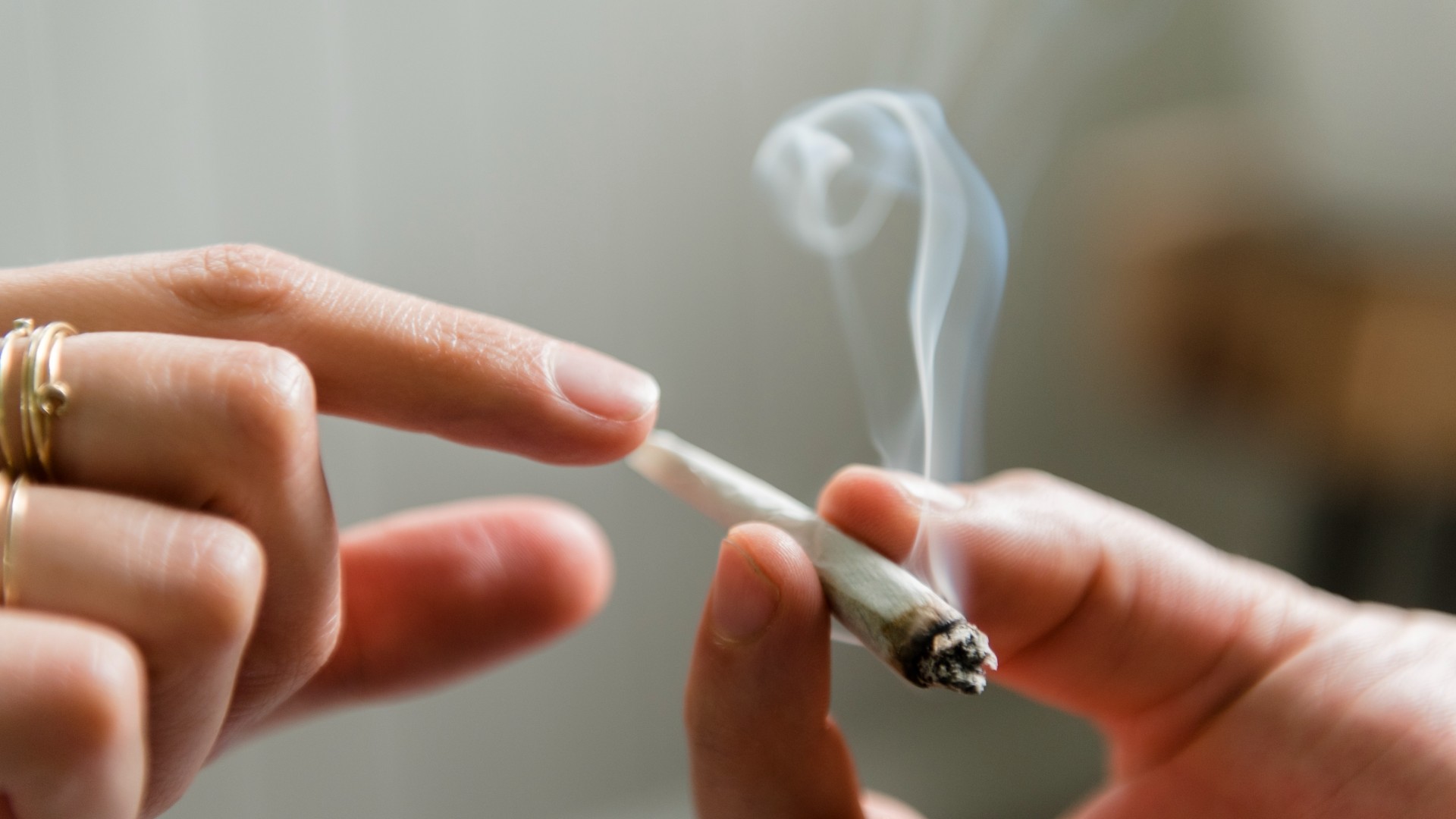 ar-putea-canabisul-sa-trateze-cancerul-intr-o-zi?-iata-ce-spune-stiinta-pana-acum