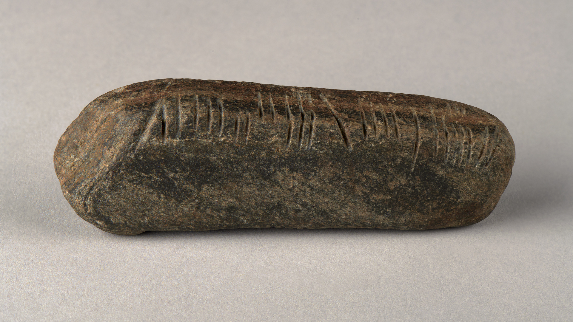 piatra-cu-inscriptie-irlandeza-veche-de-1.600-de-ani-gasita-in-gradina-englezeasca