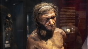 misterul-cromozomului-y-de-neanderthal-care-dispare