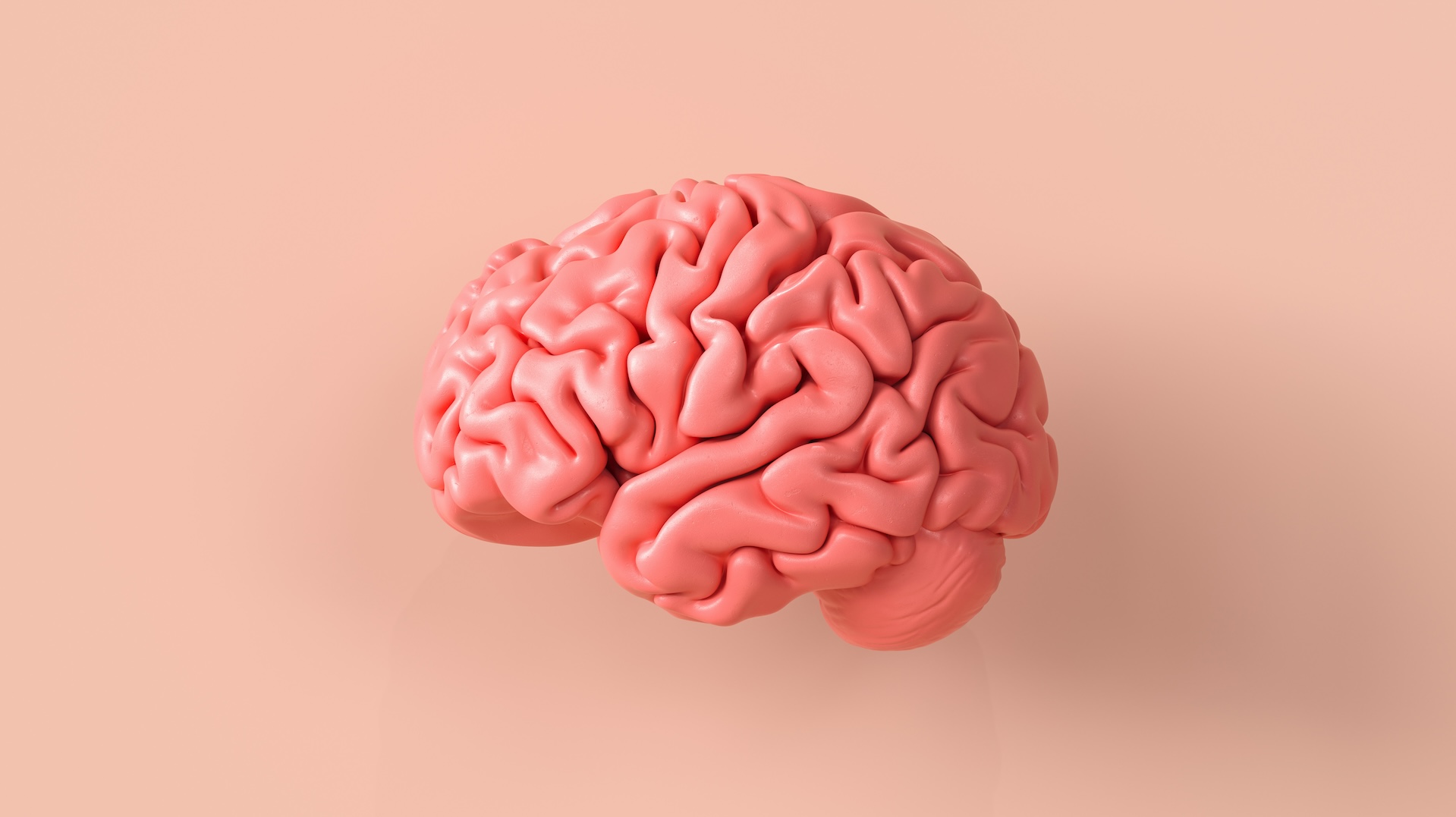 enigmaticul-„microbiomul-creierului”-ar-putea-juca-un-rol-in-bolile-neurologice
