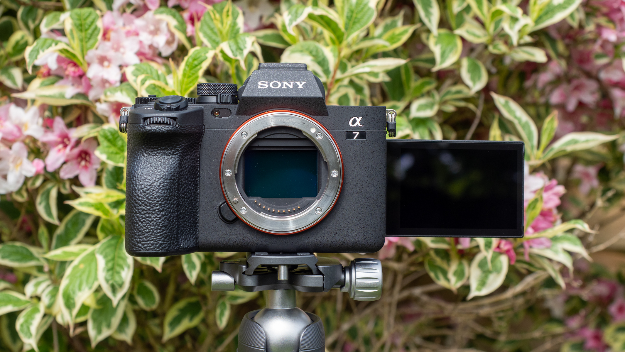 recenzie-sony-a7-iv