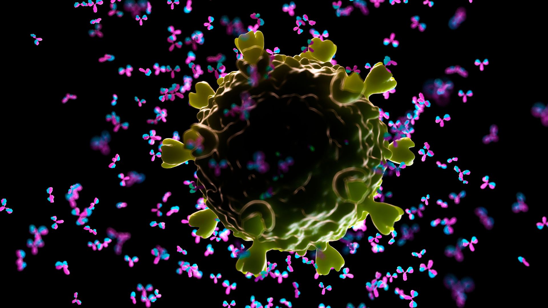 in-primul-rand,-vaccinul-hiv-declanseaza-anticorpi-rari-si-evazivi-la-pacientii-umani