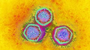 oasele-de-neanderthal-vechi-de-50.000-de-ani-adapostesc-cei-mai-vechi-virusi-umani-cunoscuti