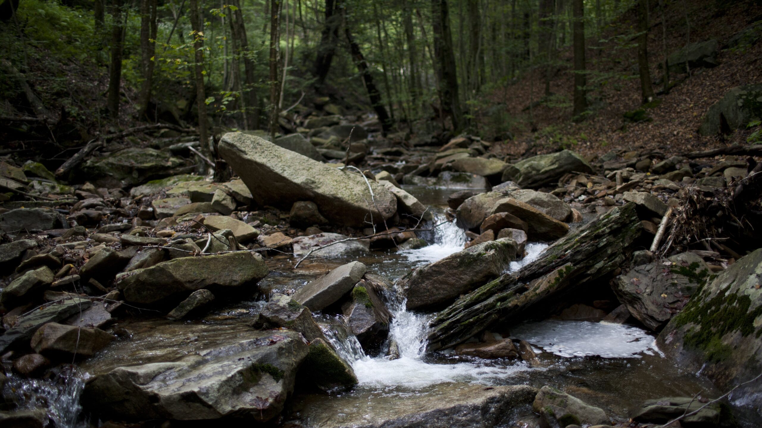 oamenii-de-stiinta-tocmai-au-descoperit-un-rezervor-enorm-de-litiu-sub-pennsylvania