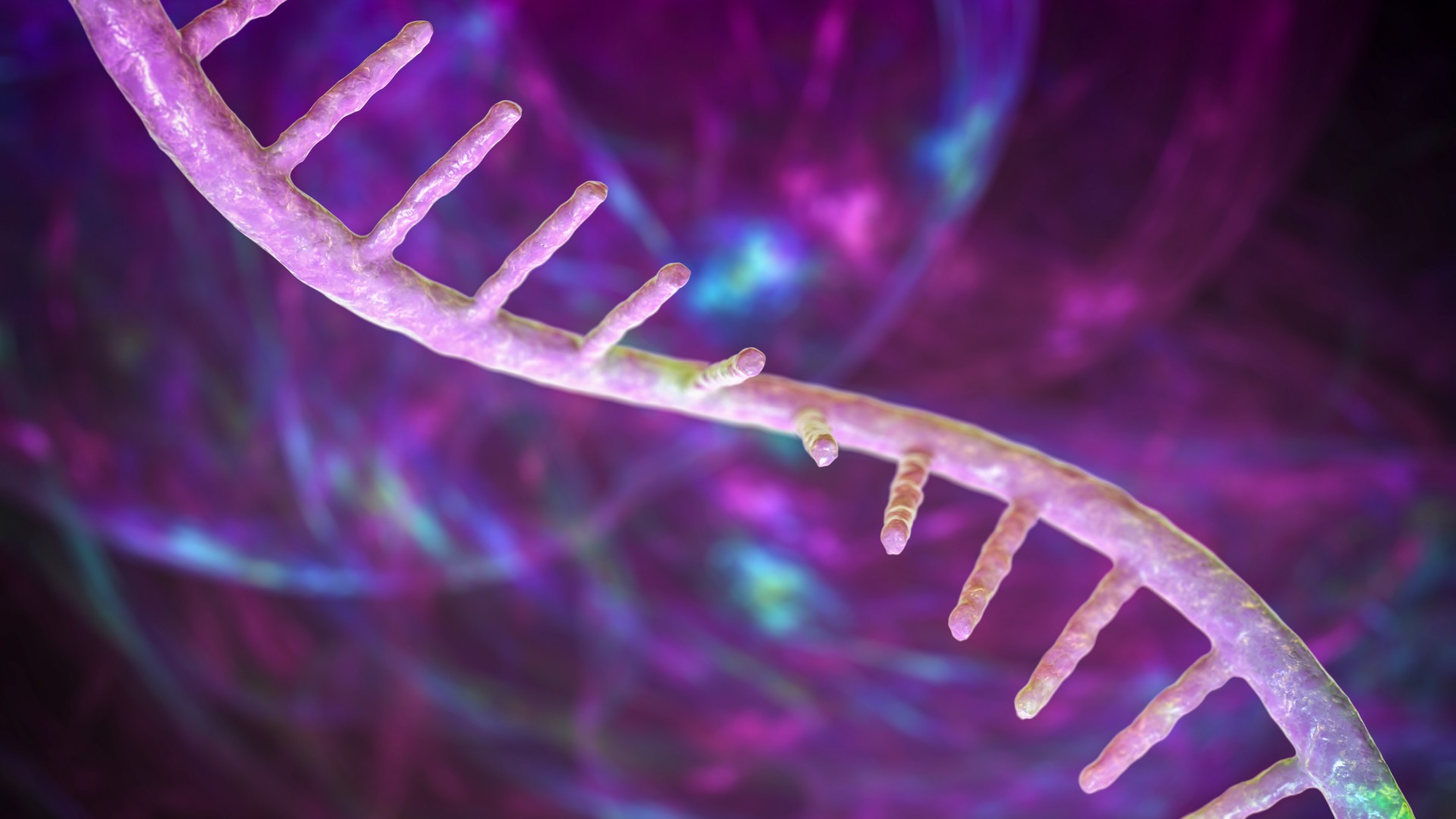 noua-cauza-genetica-a-dizabilitatii-intelectuale-poate-fi-descoperita-in-„adn-nedorit”