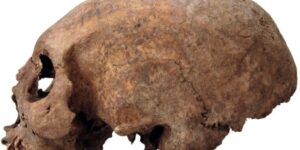 studiu:-trei-cranii-de-femei-vikinge-medievale-au-fost-alungite-in-mod-deliberat