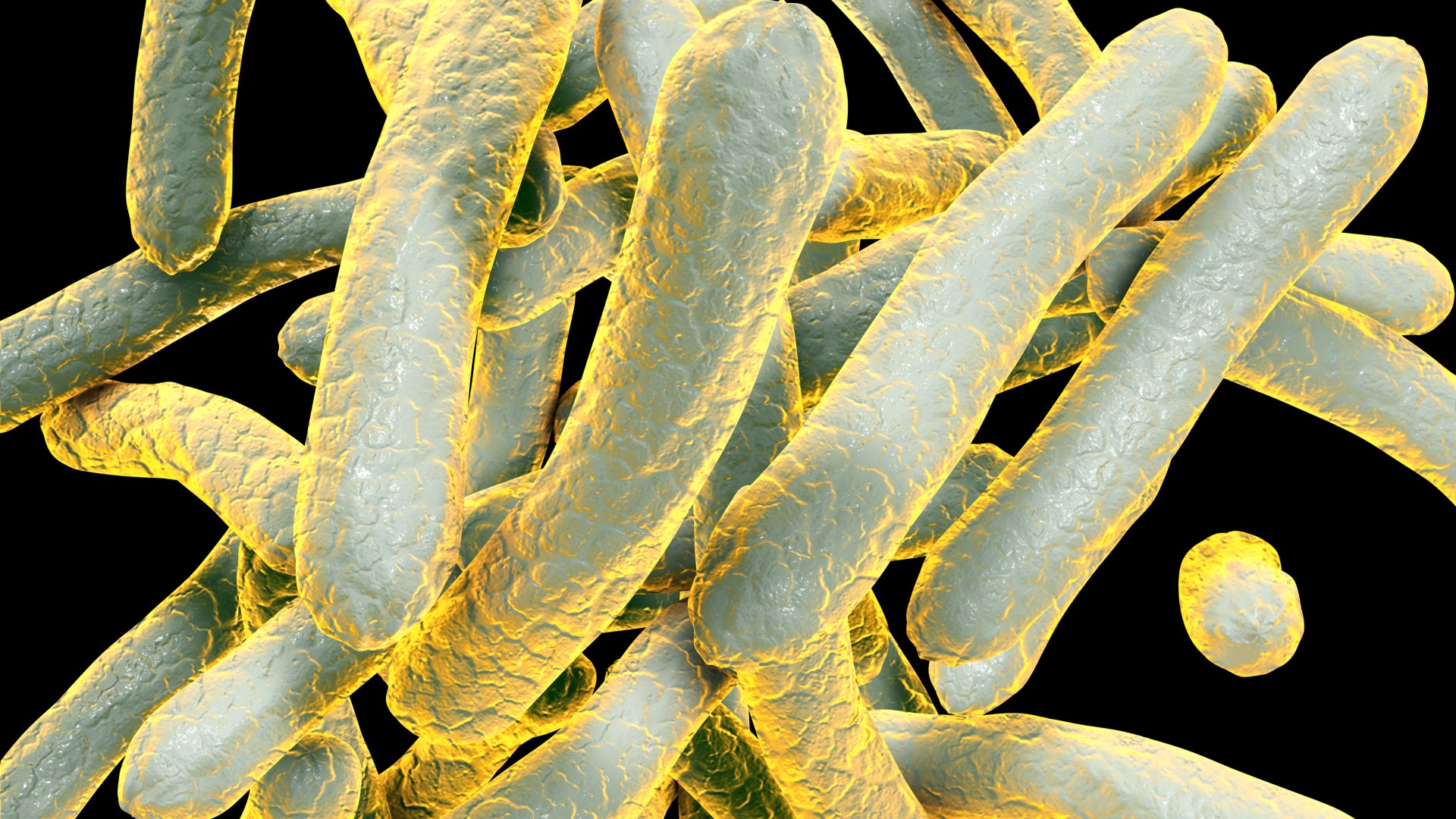 tuberculoza-a-declansat-un-neg-gigant,-crus,-sa-incolteasca-pe-mana-omului