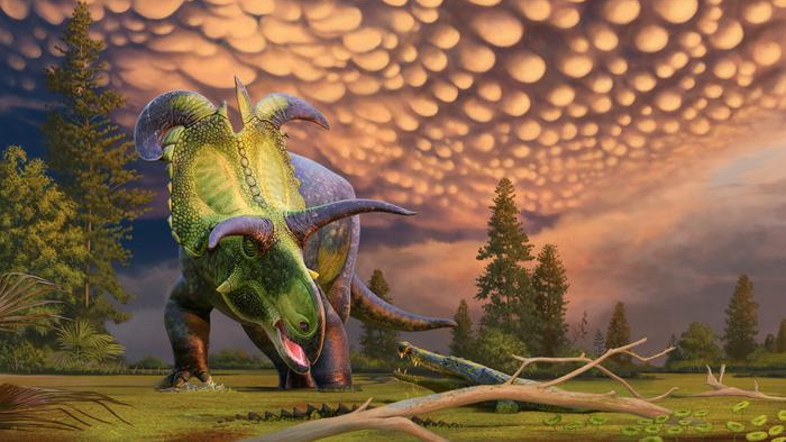 noul-dinozaur-cu-casca-gigantica,-cu-coarne,-numit-dupa-zeul-nordic-emblematic