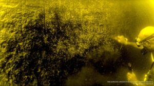 sculpturi-in-stanca-ale-unor-faraoni-egipteni-antici-gasite-sub-apa-langa-aswan