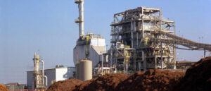 ingroparea-biomasei-in-subteran-va-reduce-schimbarile-climatice?