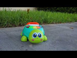 Llego Tarde La Tortuga Otra Vez