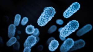 suplimentul-cu-probiotice-a-provocat-infectia-fatala-a-omului-in-cazuri-rare