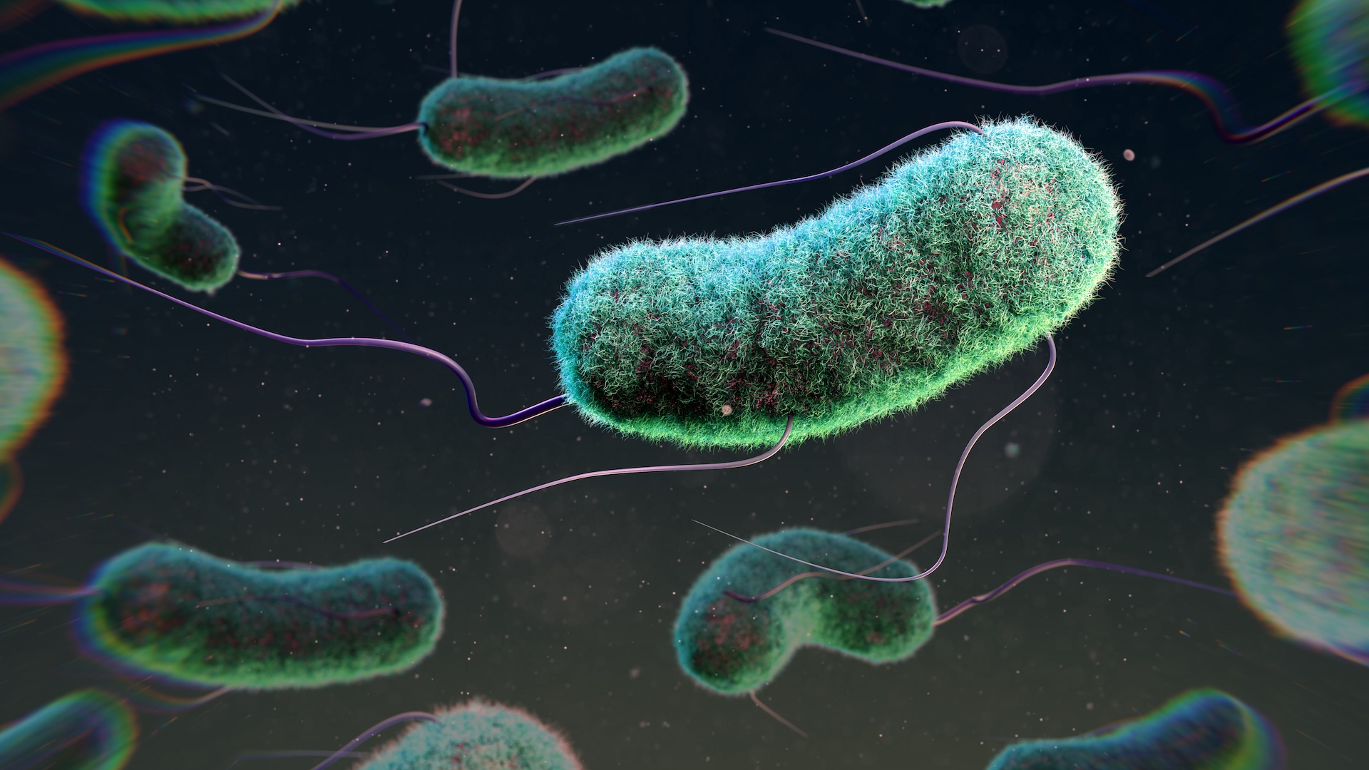 crispr-ar-putea-fi-utilizat-pentru-a-trata-infectiile-urinare,-indicii-timpurii-ale-studiului
