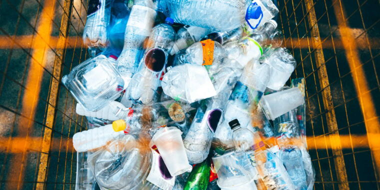 De la reciclare la alimente: putem mânca microbi care ronțăie plastic?