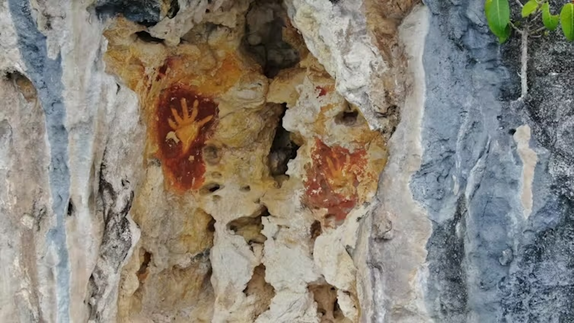 oamenii-locuiau-in-apropiere-de-papua-de-vest-cu-cel-putin-55.000-de-ani-in-urma,-arata-studiul