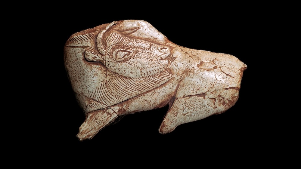 muscatura-de-insecta-de-linga-de-bizon:-o-figura-reala-de-14.000-de-ani,-sculptata-dintr-o-arma