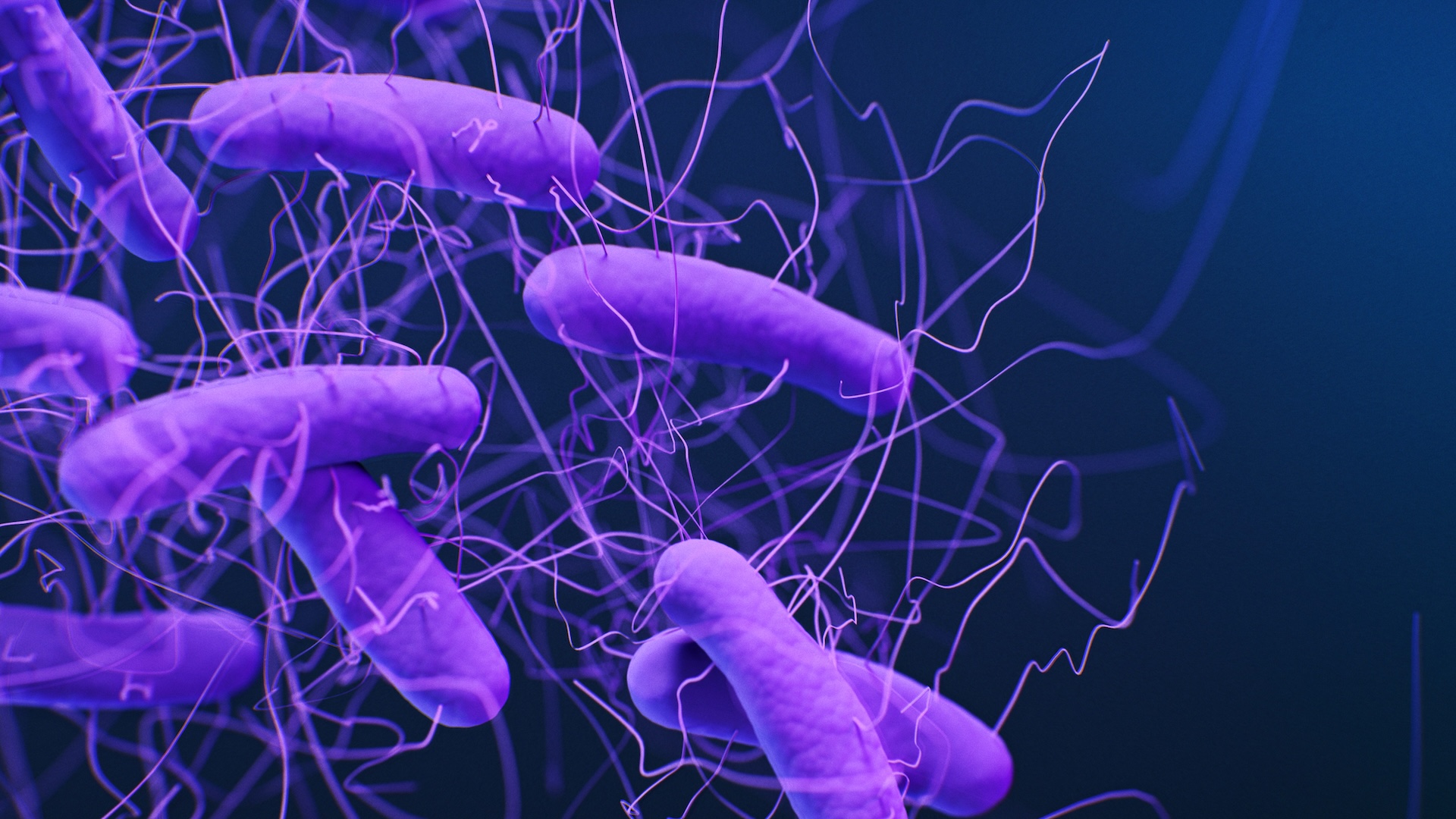 pentru-c.-diff,-rezistenta-la-antibiotice-are-un-cost