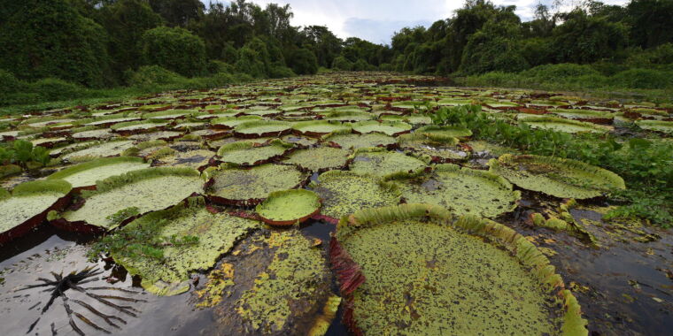 Feedback-ul schimbărilor climatice duc la creșterea emisiilor de metan natural