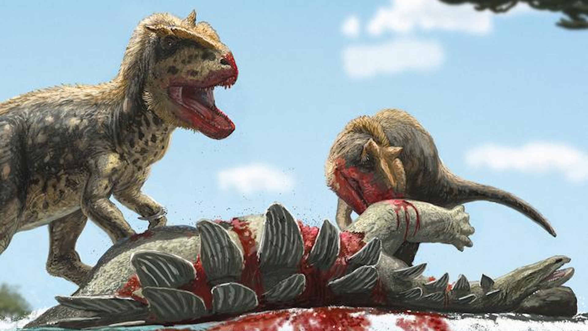 ruda-t.-rex-cu-sprancene-gigantice,-proeminente,-descoperita-in-kargazstan