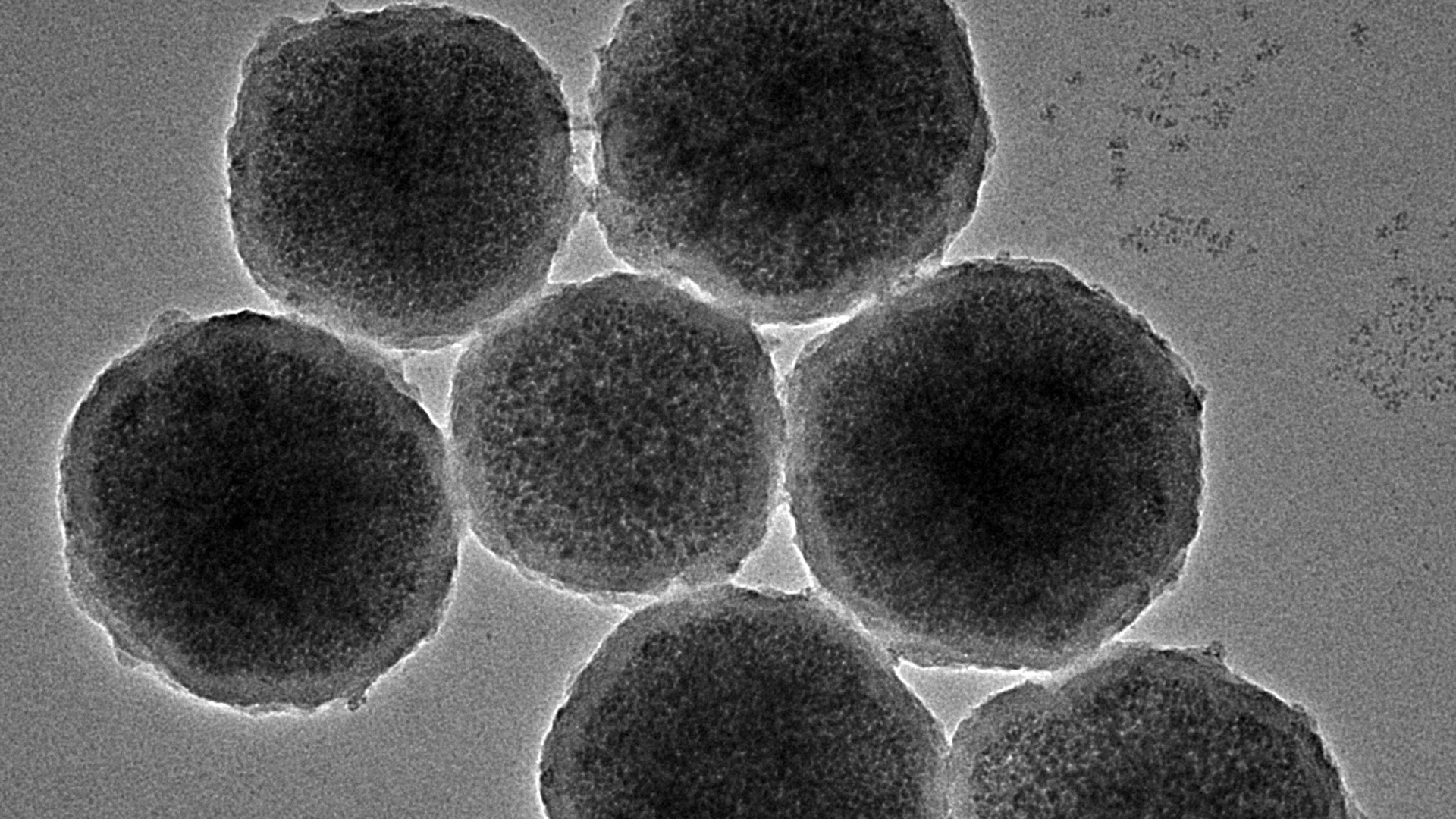 oamenii-de-stiinta-inventeaza-nanoroboti-care-pot-repara-anevrismele-cerebrale
