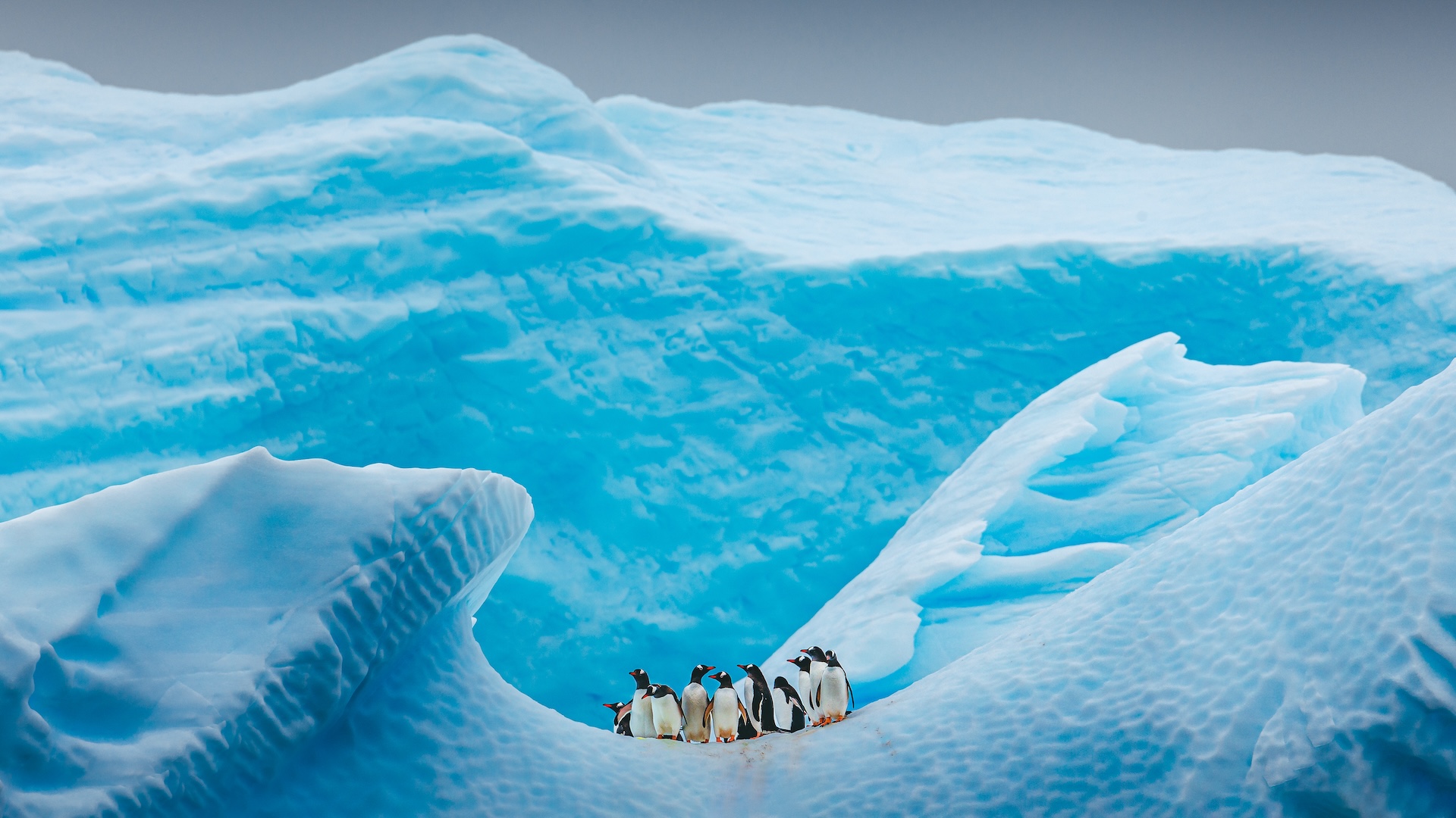 cand-a-fost-ultima-data-cand-antarctica-a-fost-fara-gheata?