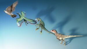 cat-de-repede-are-loc-evolutia?