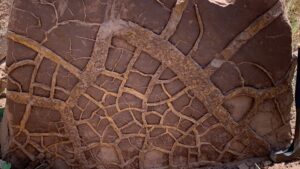 „mega”-el-nino-poate-sa-fi-alimentat-cea-mai-mare-extinctie-in-masa-a-pamantului