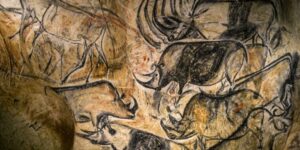 din-permafrost-ies-mumii-rare-de-rinocer-lanos