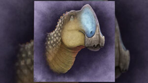 dino-cu-cioc-de-rata-cu-claxon-absolut-enorm,-descoperit-in-mexic