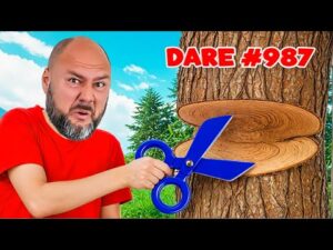 ¡1000 DESAFÍOS en 24 HORAS con Greg y Lexi! 100 BROMAS de suscriptores
