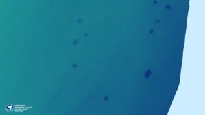 oamenii-de-stiinta-confirma-ca-exista-40-de-cratere-uriase-pe-fundul-lacului-michigan