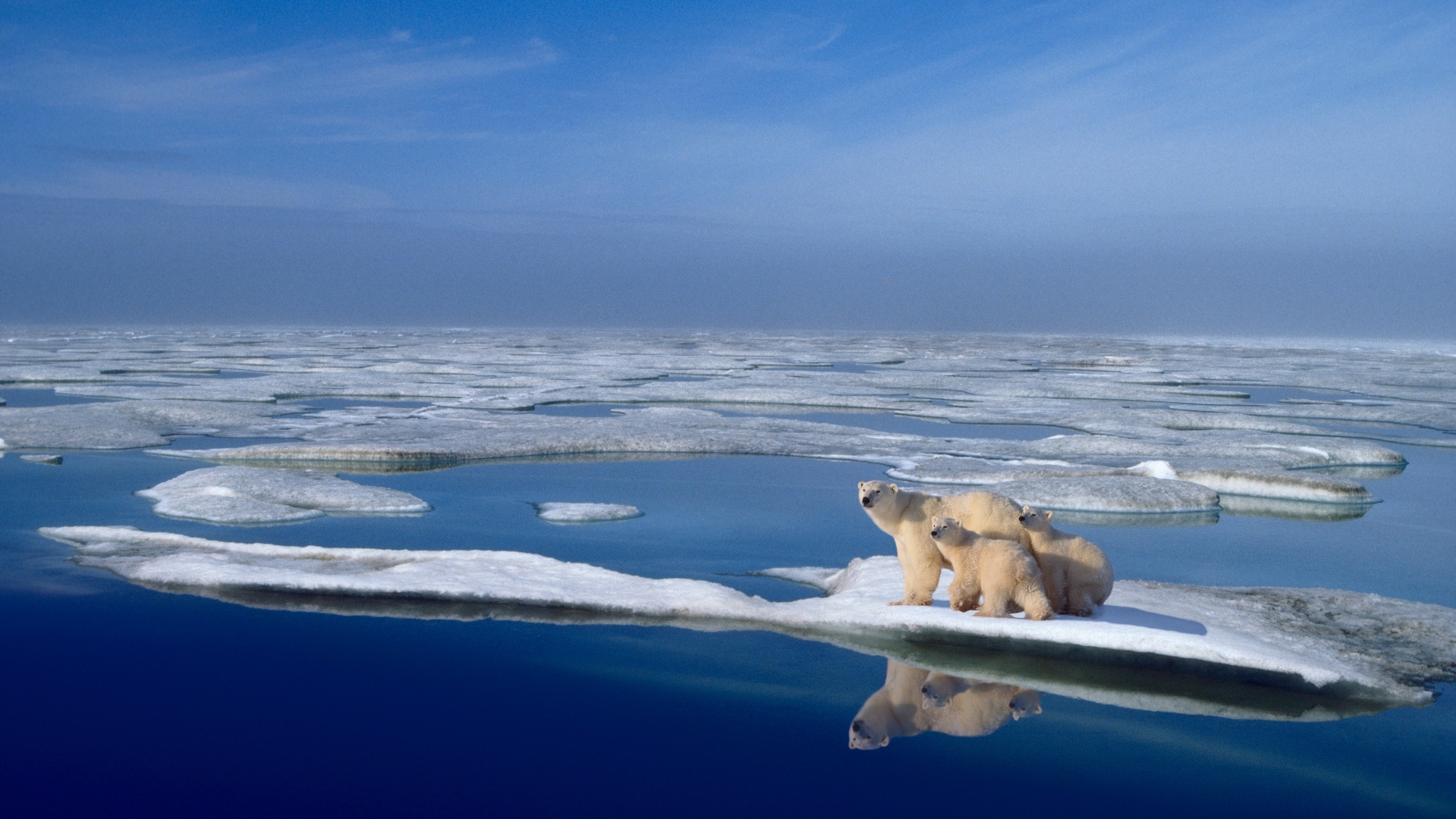 32-de-moduri-ciudate-de-a-lupta-impotriva-schimbarilor-climatice-care-ar-putea-functiona