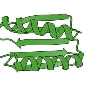 structura-proteinelor-si-software-ul-de-proiectare-primesc-nobelul-pentru-chimie