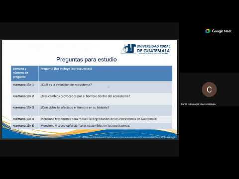 Semana 13 – Domingo