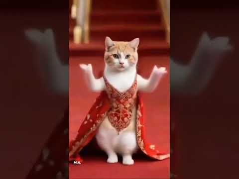 amazing cat Kat Lele  #tamil #song #tamilsong #viralvideo #love#shortvideo #trending #cat #shorts
