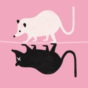 ce-putem-invata-de-la-animale-despre-moarte-si-mortalitate