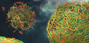 este-posibil-ca-picaturile-de-ploaie-sa-fi-contribuit-la-declansarea-vietii-pe-planeta