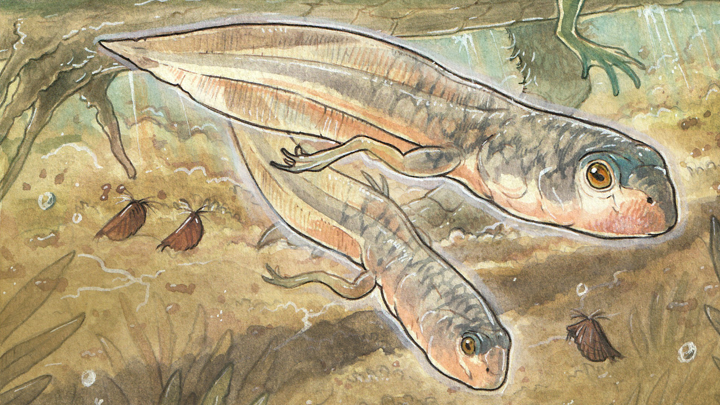 cel-mai-batran-mormoloc-inregistrat-a-fost-un-gigant-din-jurasic