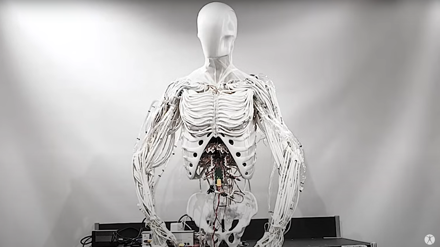 urmariti-acest-tors-robot-terifiant-prinde-viata