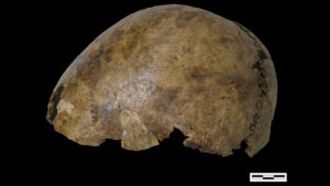 un-schelet-incurcat-de-mozaic-din-belgia-contine-oase-de-la-5-persoane-de-2.500-de-ani