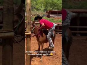 Dica legal para montar em um animal no começo da doma