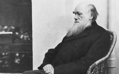 Testul Charles Darwin: Testează-ți cunoștințele despre „părintele evoluției”