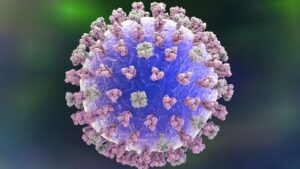 canada-raporteaza-primul-caz-local-de-gripa-aviara-h5