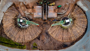 cum-se-face-hartia-din-copaci?