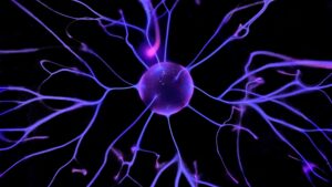 studiul-„tur-de-force”-poate-explica-de-ce-traumele-pot-duce-la-ptsd