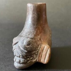 studiu:-de-ce-„fluierele-mortii”-aztece-suna-ca-tipetele-umane