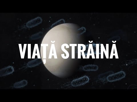 Posibilă viață pe Venus! 👽