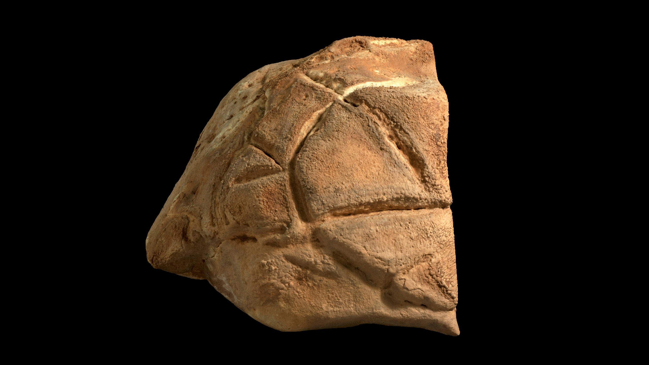 sculptura-cu-„coaja-de-testoasa”-veche-de-35.000-de-ani-ar-putea-fi-cea-mai-veche-dovada-a-comportamentului-ritualic-din-tara-sfanta