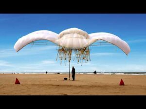 12.419 de zile ale evoluției Strandbeest