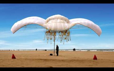 12.419 de zile ale evoluției Strandbeest